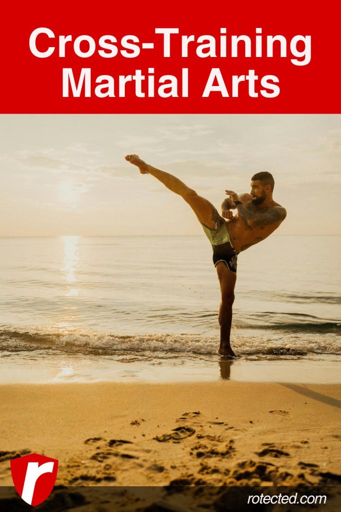 cross-training martial arts infographic