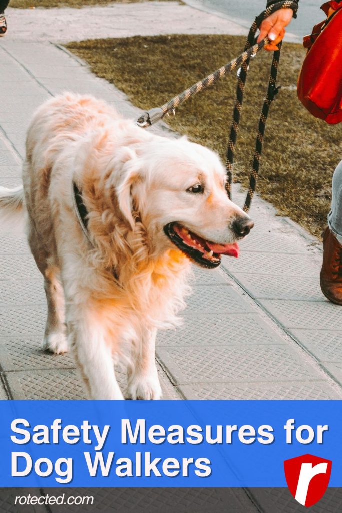 Safety Measures for Dog Walkers 