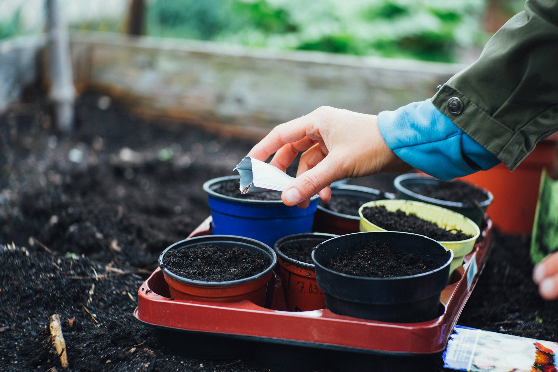 Gardening Mistakes to Avoid (src:https://unsplash.com/photos/person-holding-white-plastic-cup-1fxcQYy5OXc)