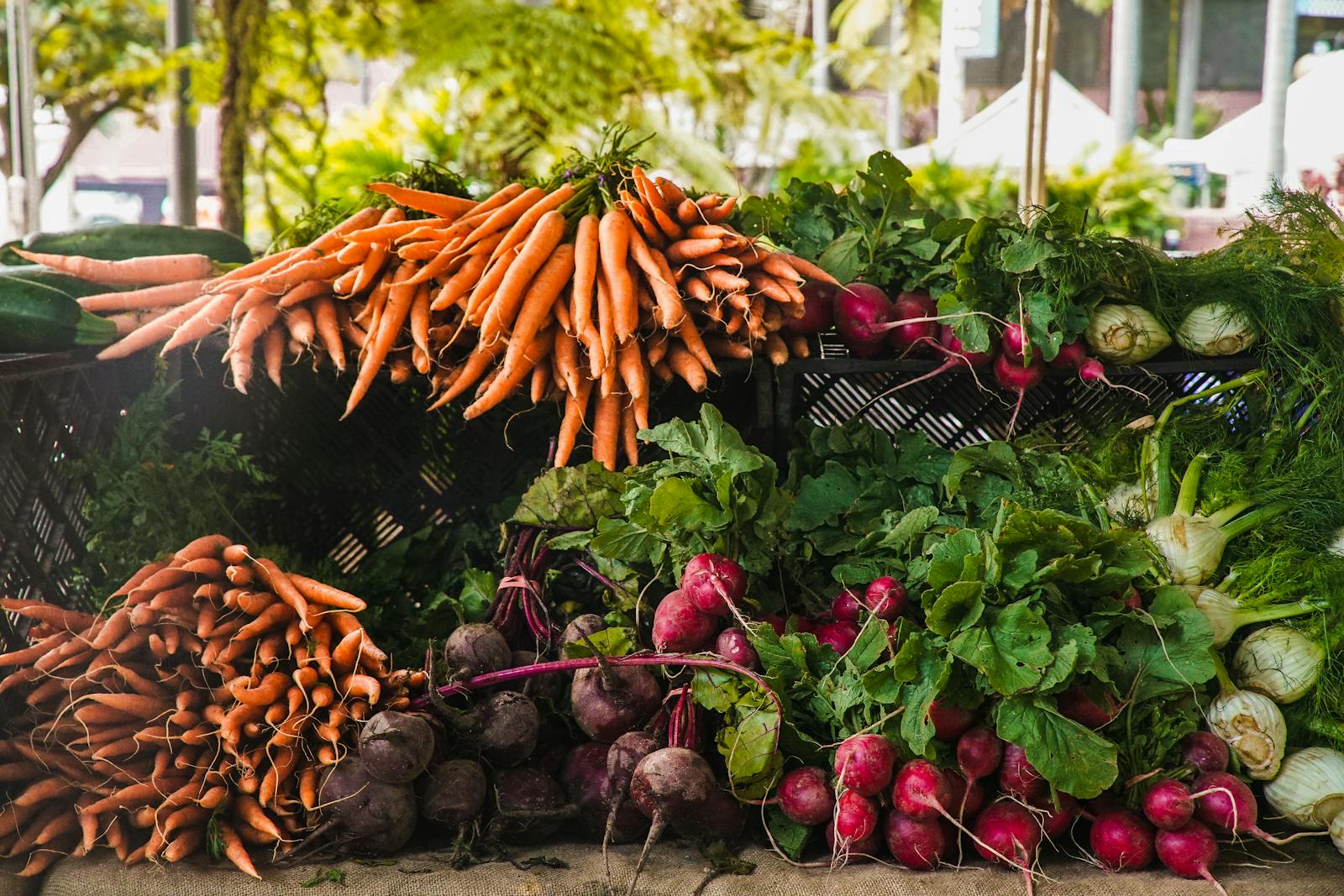 fast growing vegetables recently harvested from a garden