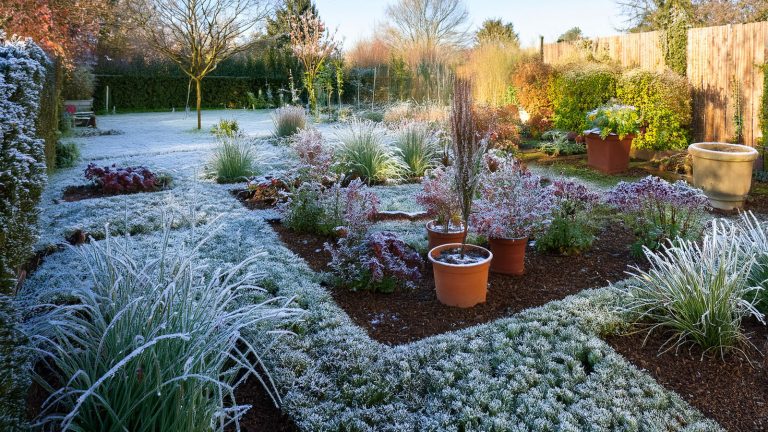 a well prepared garden in the winter